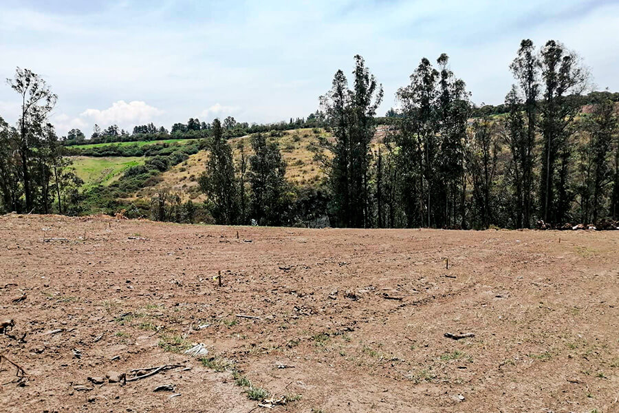 Bienes Raíces Mitad del Mundo